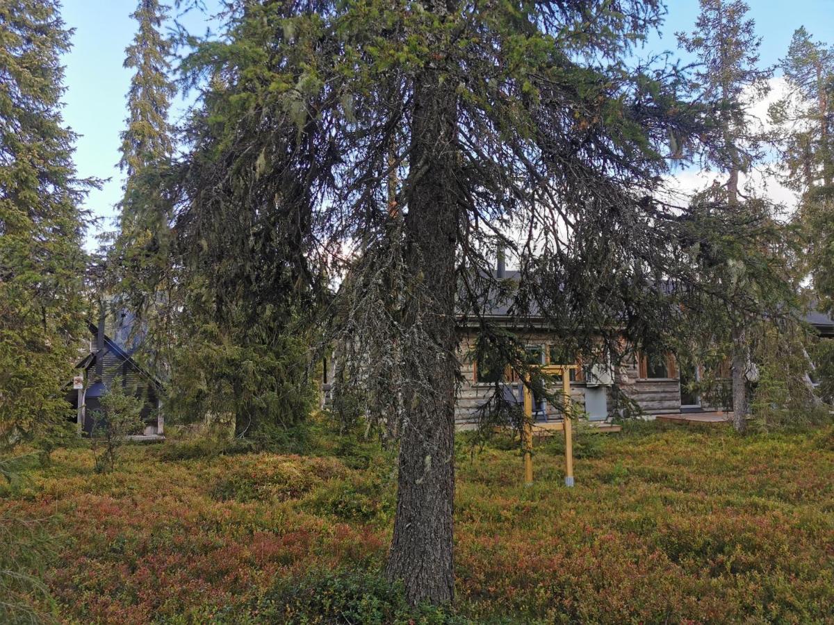 Ruka Inn Екстериор снимка